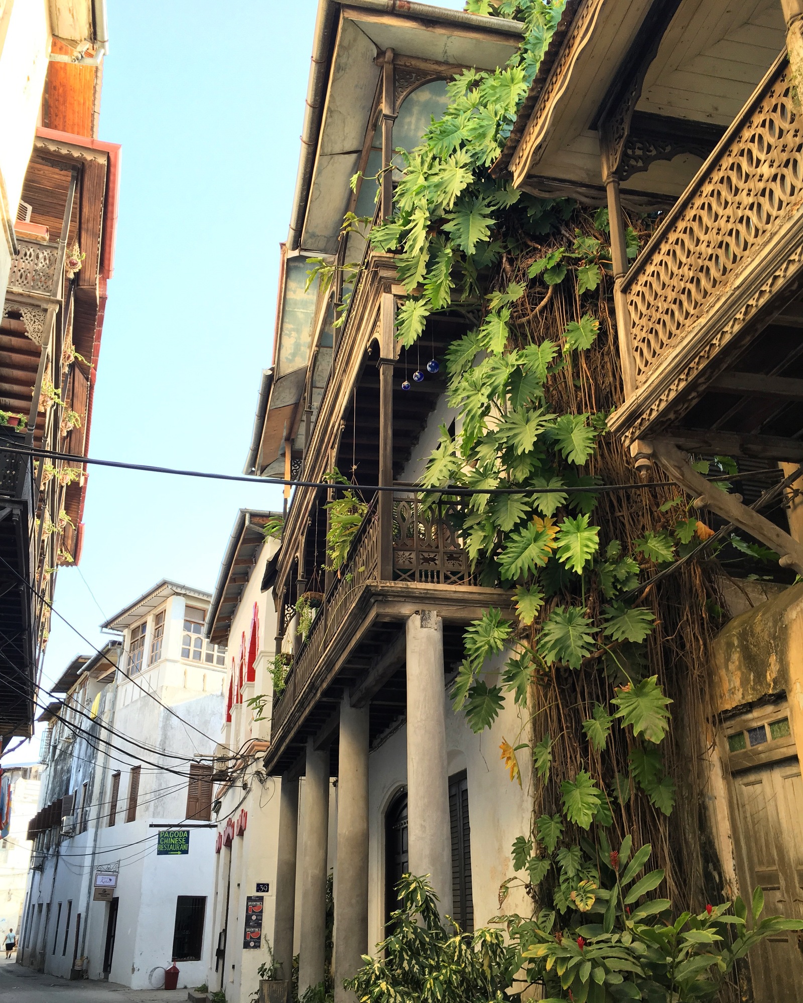 Zanzibar) - My, My, Zanzibar, Tanzania, Relaxation, Longpost