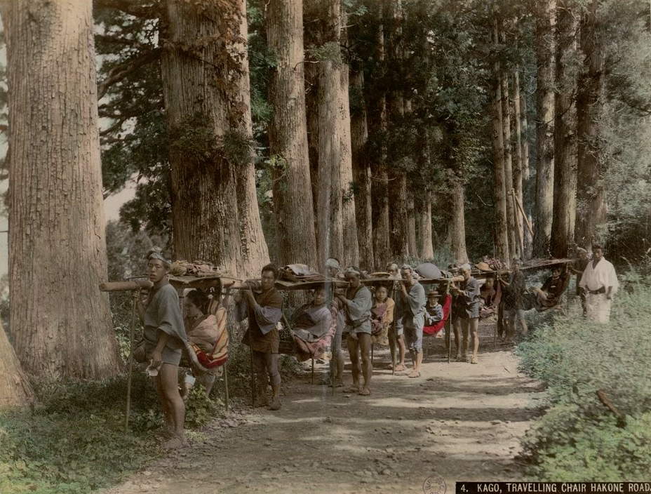 Forest 19. Лес 19 века. Английский лес 19 века. Фотографии лесов России 19 века. Лес в 19 веке.