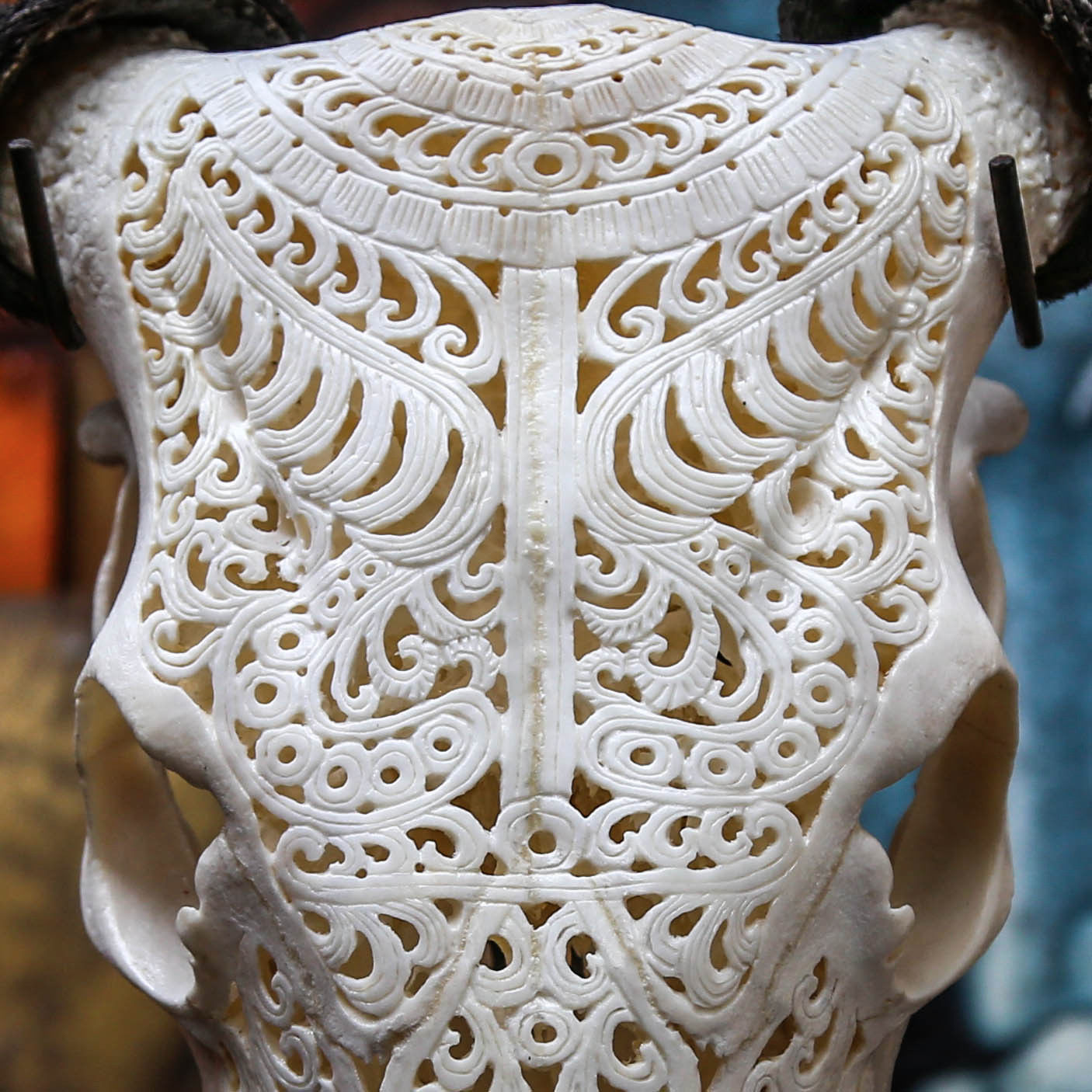 Bone carving - Craft, Carving, Bones, Animals, Scull, Longpost