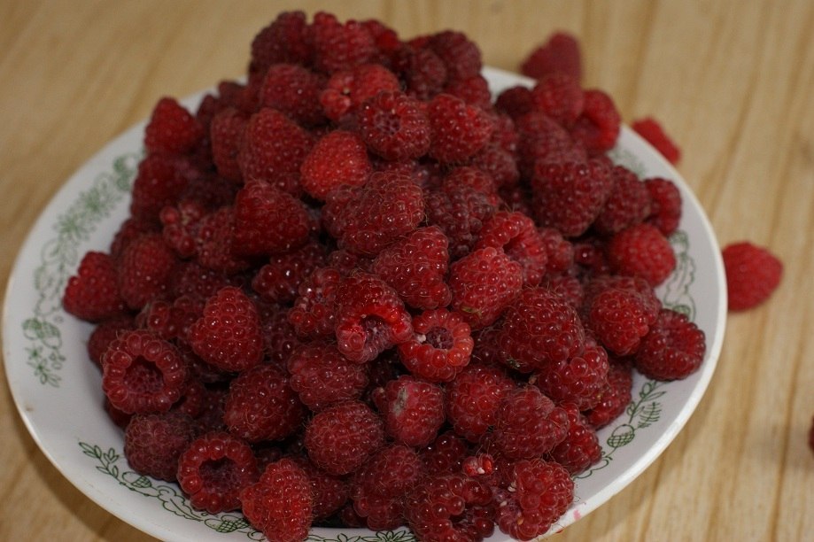 Soon - My, Dacha, Raspberries, Milk, Summer, Heat, Vacation, Grasshopper