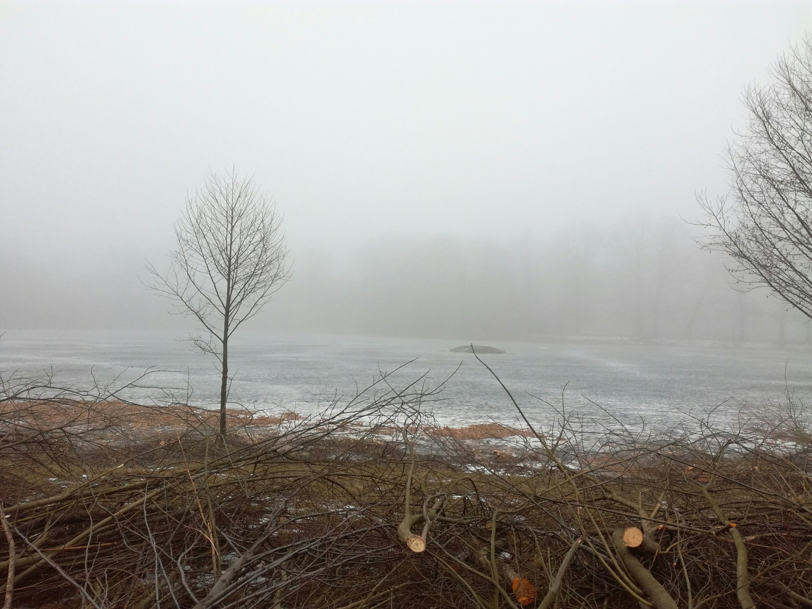 Wonderful frozen lake in fog - My, Kaliningrad, Lake, Fog, Haze, Longpost