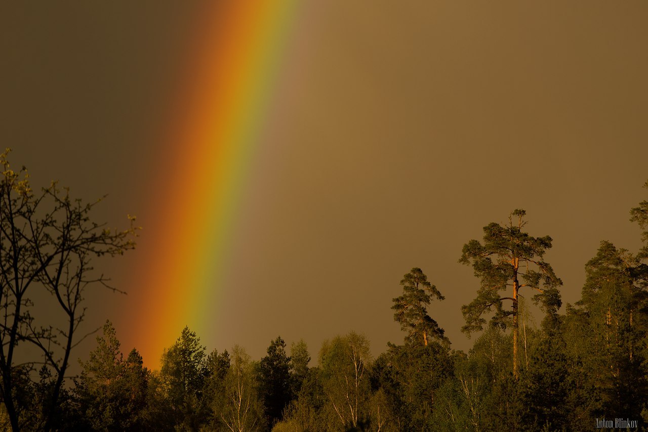 Rainbow | Пикабу