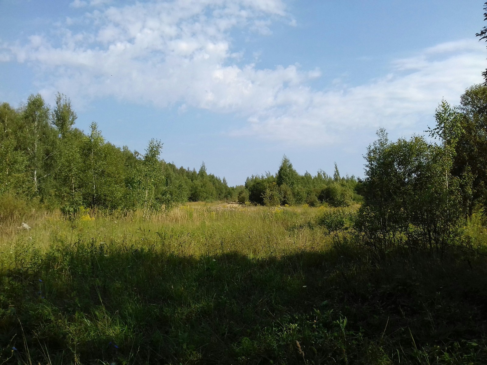 One abandoned pioneer camp in Russia. - My, the USSR, Made in USSR, Camp, Past, Longpost