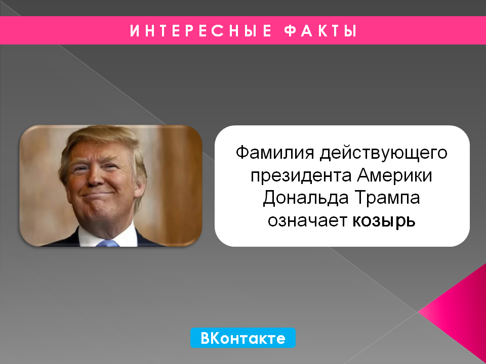 Trump Trump - Surname, Trumps, Facts, Donald Trump, USA, In contact with