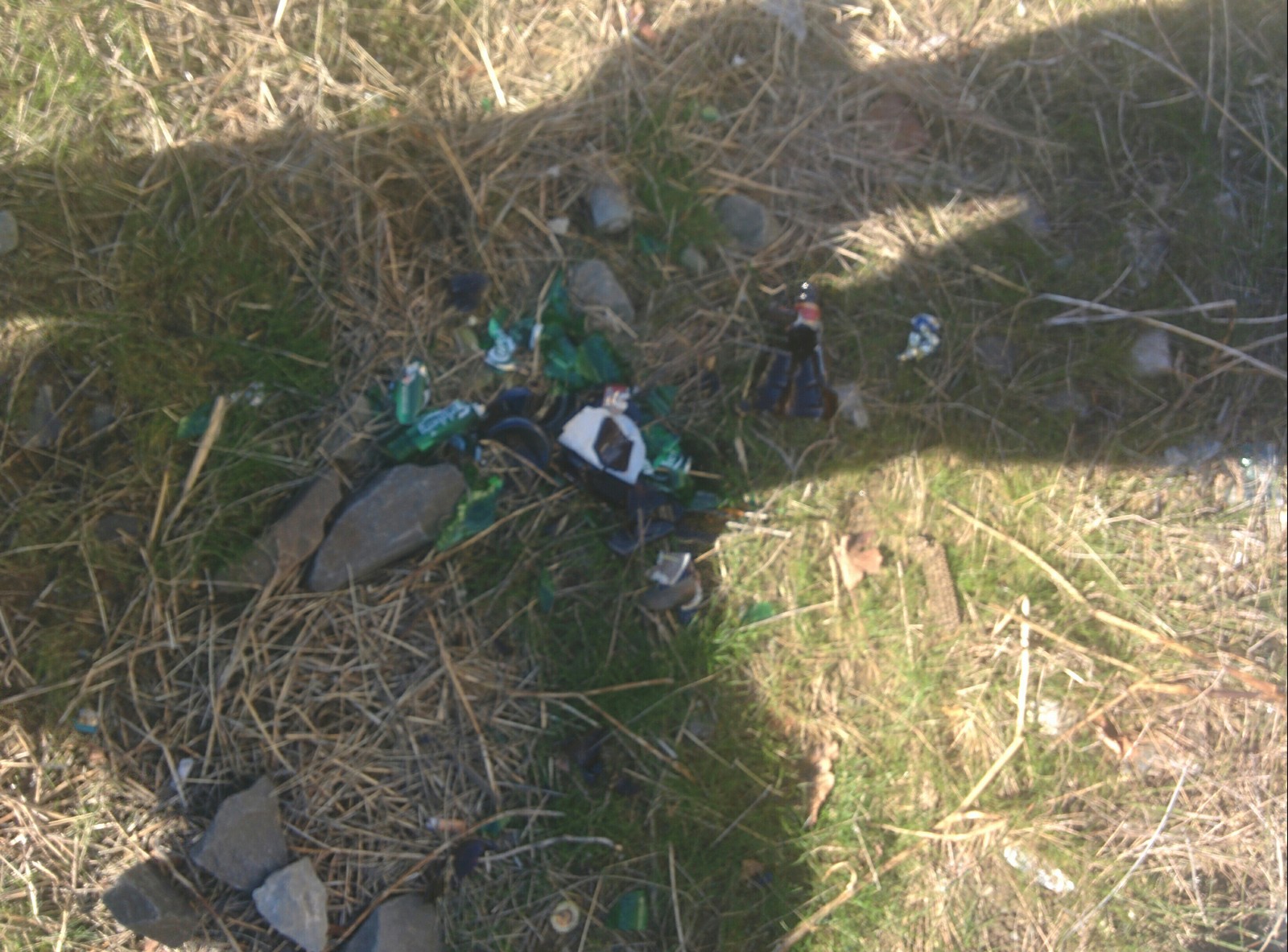 Russian Railways beat bottles along the Adler railway. - My, Russian Railways, Empty bottles, Glass, Dog, Garbage, Longpost