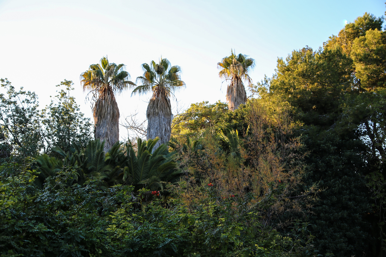 PortAventura, amusement park near Barcelona, ??Spain - My, Canon, PortAventura, Amusement park, Spain, Photographer, My, Woody Woodpecker, Entertainment, Longpost