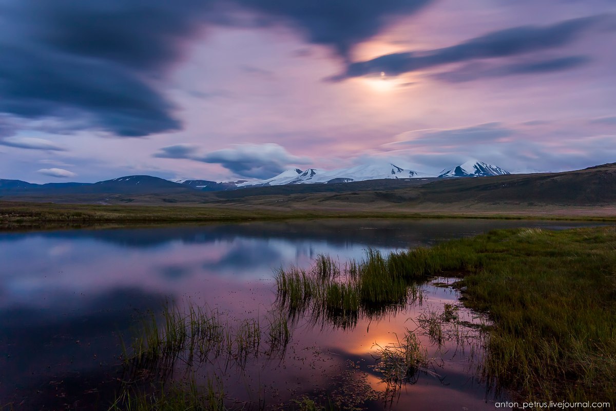 Ukok Plateau - Altai, Ukok, Ukok Plateau, Summer, Greenery, The photo, Nature, Landscape, Longpost, Altai Republic