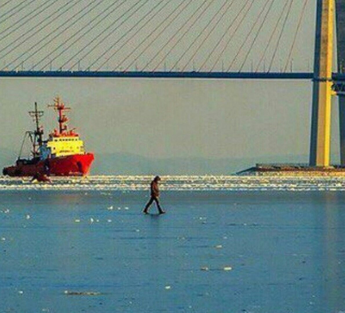 A familiar picture, a resident of Vladivostok in the morning goes to Japan for a car - Vladivostok, Sea