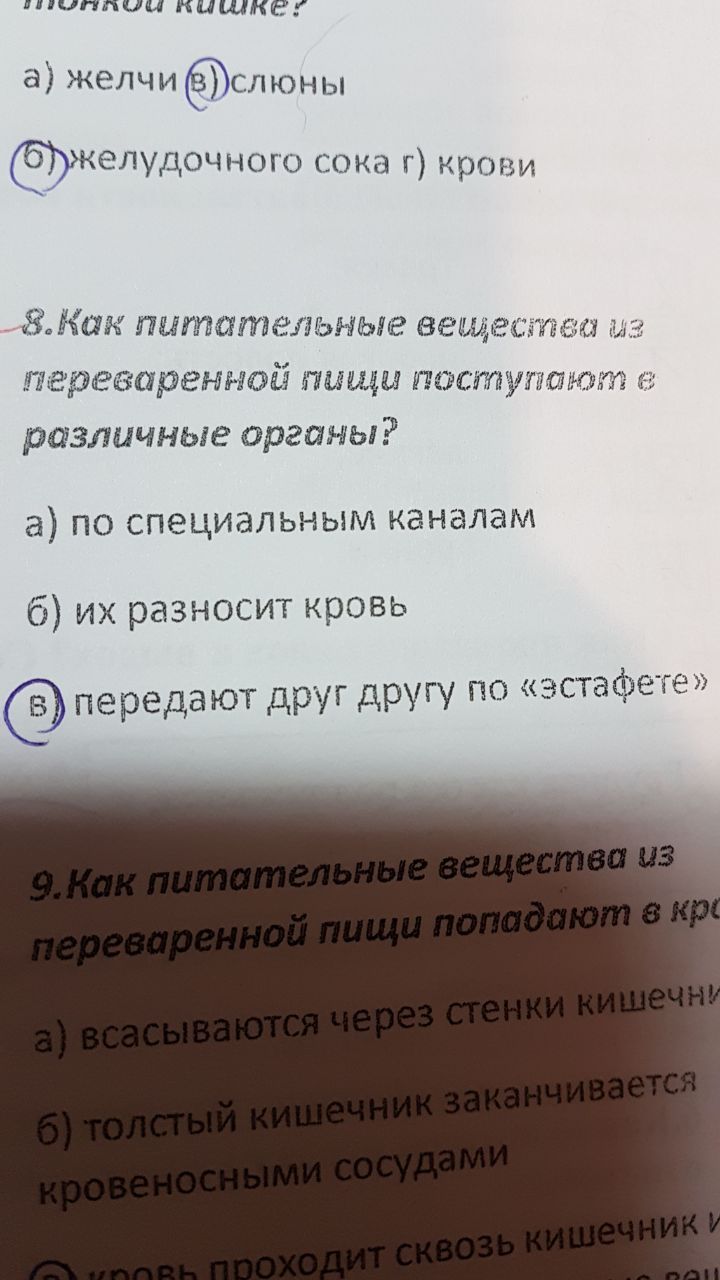 Слезы печени - Тест, 3 класс, Пищеварение, Слезы, Эстафета, Длиннопост