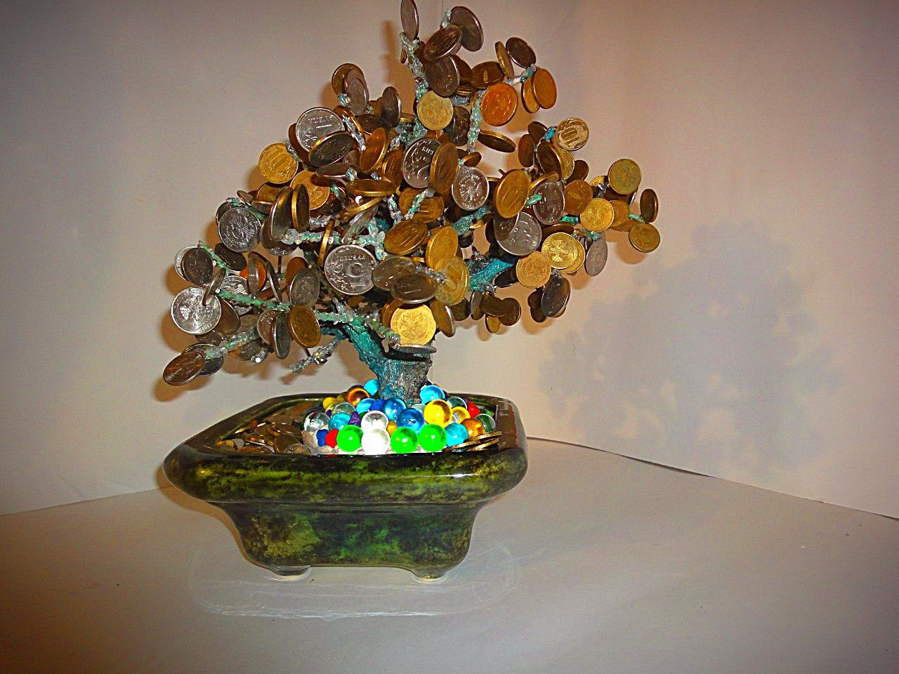 Very beautiful and unusual magnetic piggy bank - My, Tree, Bonsai, Berevo bonsai, Magnet, Money, Longpost