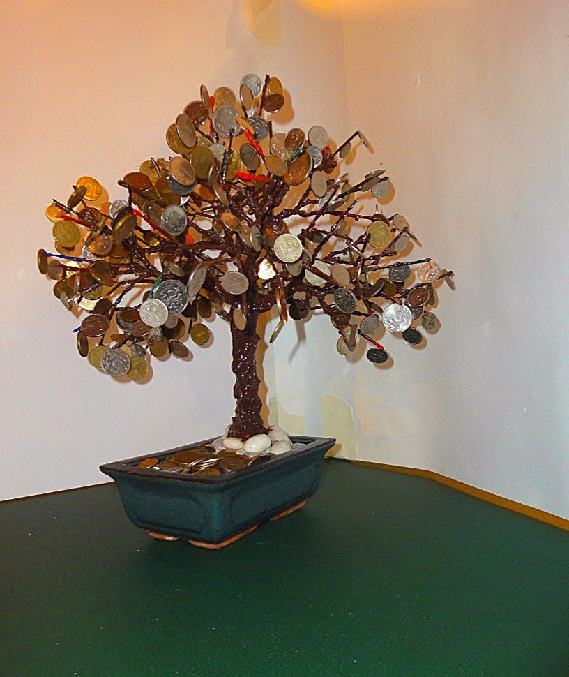 Very beautiful and unusual magnetic piggy bank - My, Tree, Bonsai, Berevo bonsai, Magnet, Money, Longpost