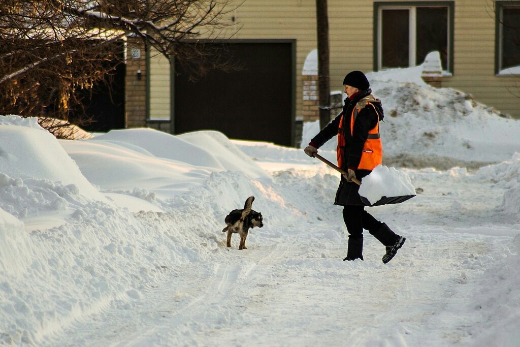 Snow removal - My, Snow, Winter, Dog