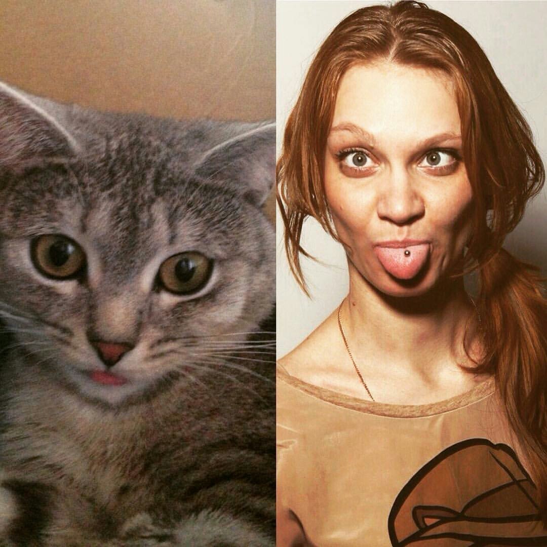 Looks like we're the same?! - cat, The hosts, Similarity