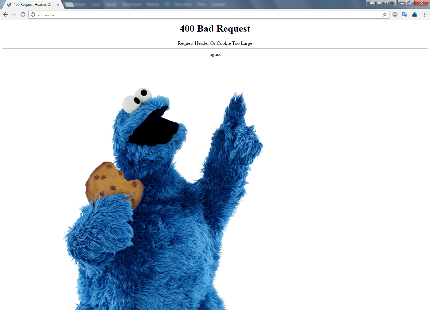 The site was covered with a very big p...th! - My, Cookies, Omnomnom, Site, Work, Admin
