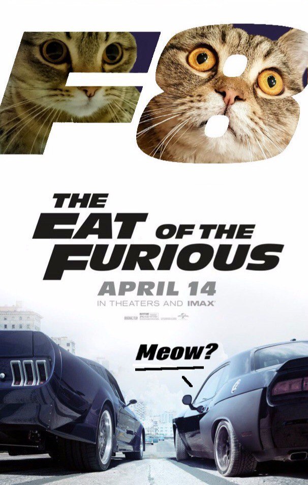 New posters of the 8th Fast and the Furious arrived - My, cat, The fast and the furious, Movies, Photoshop, My, Joke, Humor, Longpost