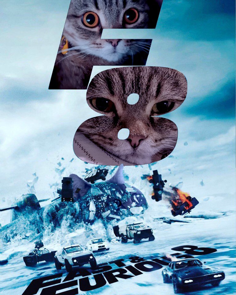 New posters of the 8th Fast and the Furious arrived - My, cat, The fast and the furious, Movies, Photoshop, My, Joke, Humor, Longpost