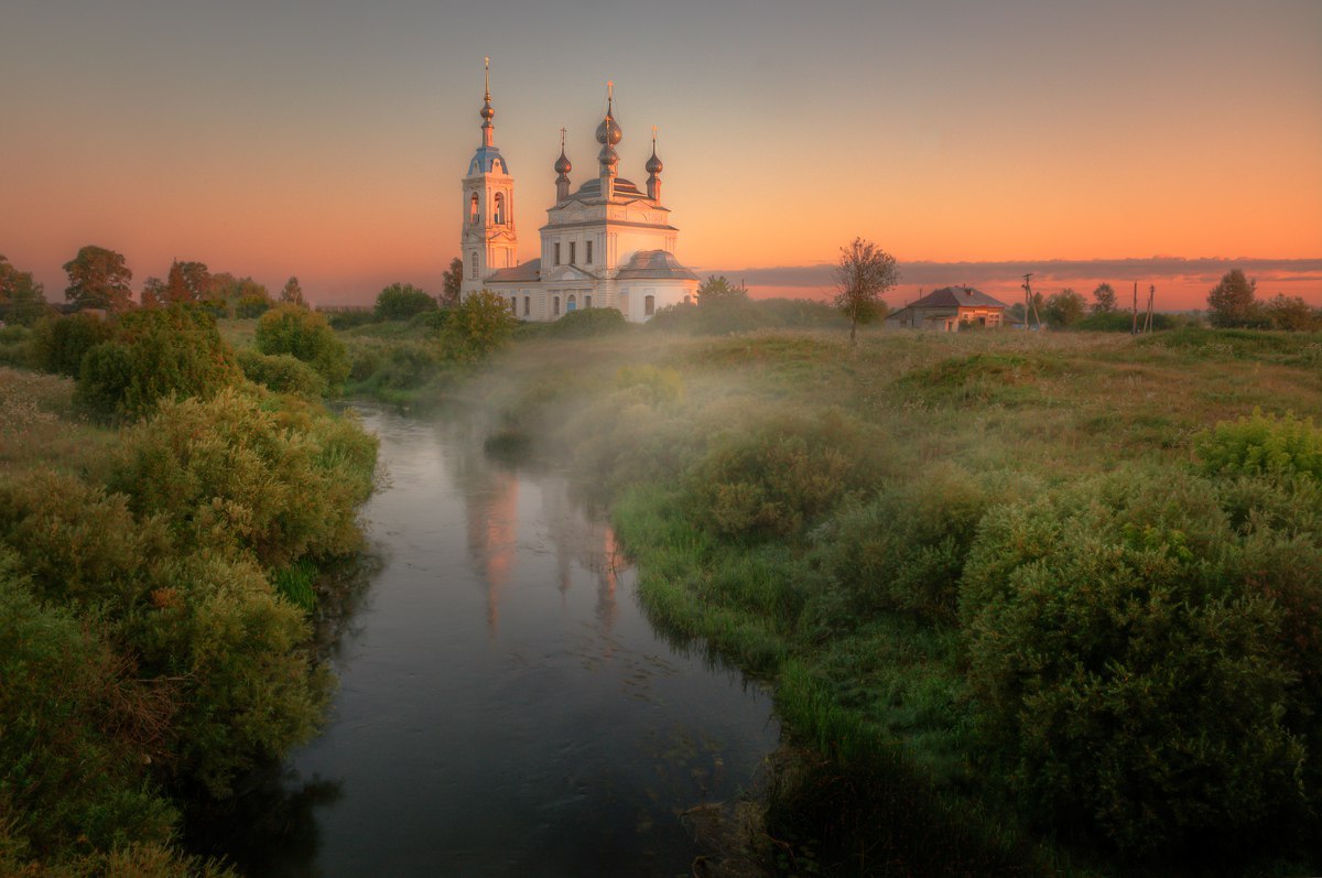 Yaroslavl region - Yaroslavskaya oblast, Summer, Cow, Grace, Greenery, Nature, Fog, Sunrise, Longpost