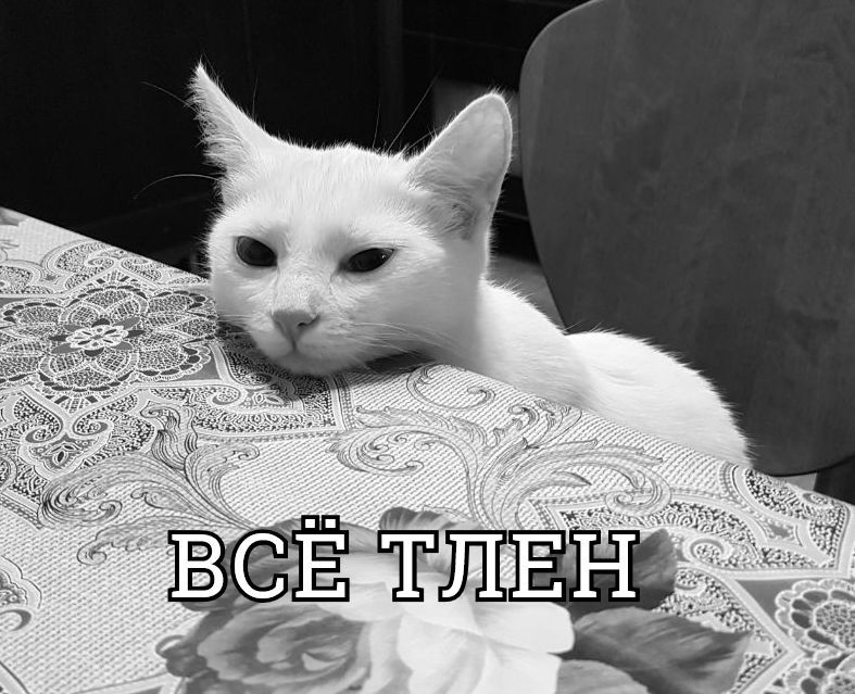 Бренность бытия | Пикабу