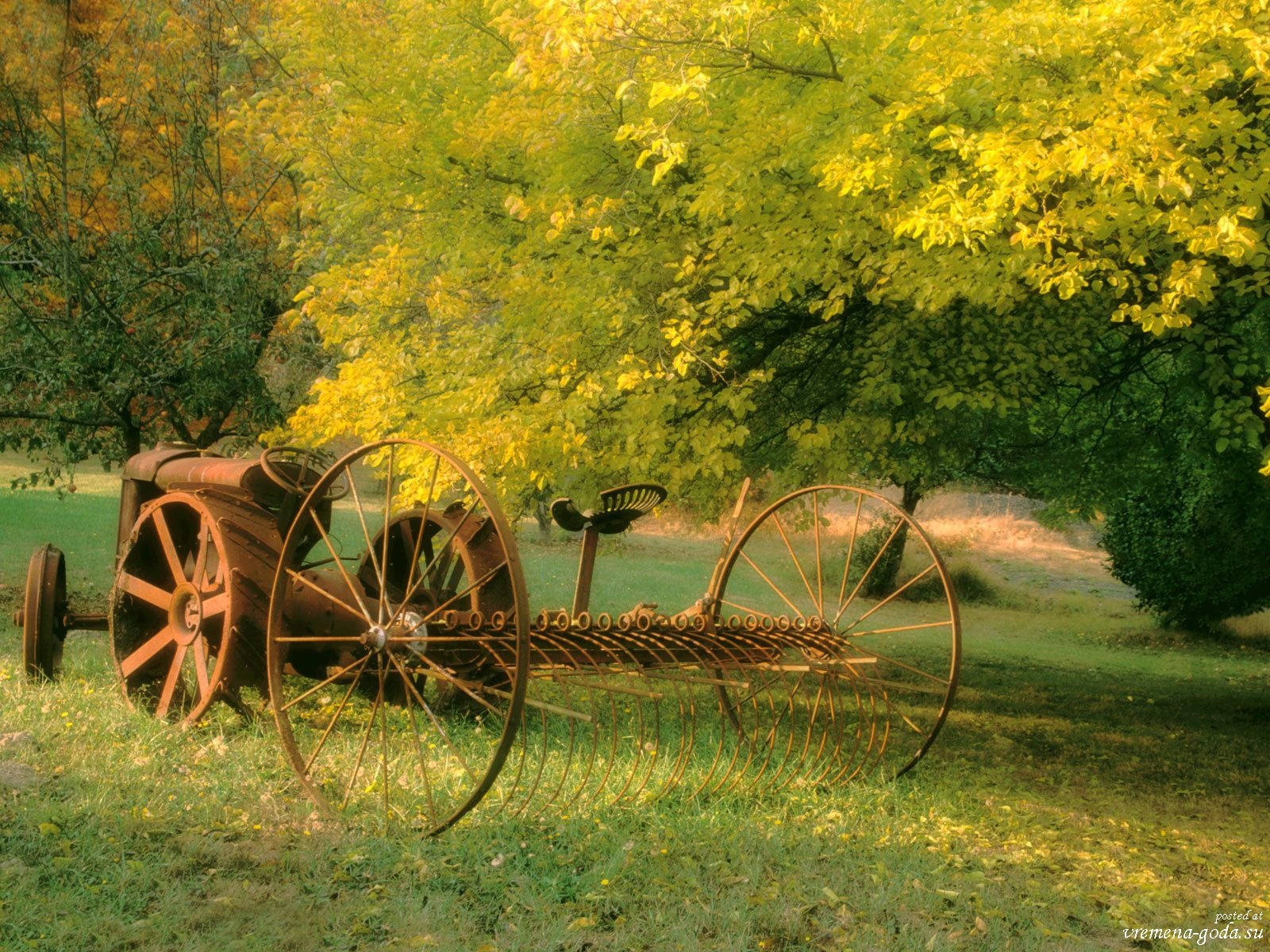 Autumn waved a magic brush! - Autumn, The photo, Nature, Longpost