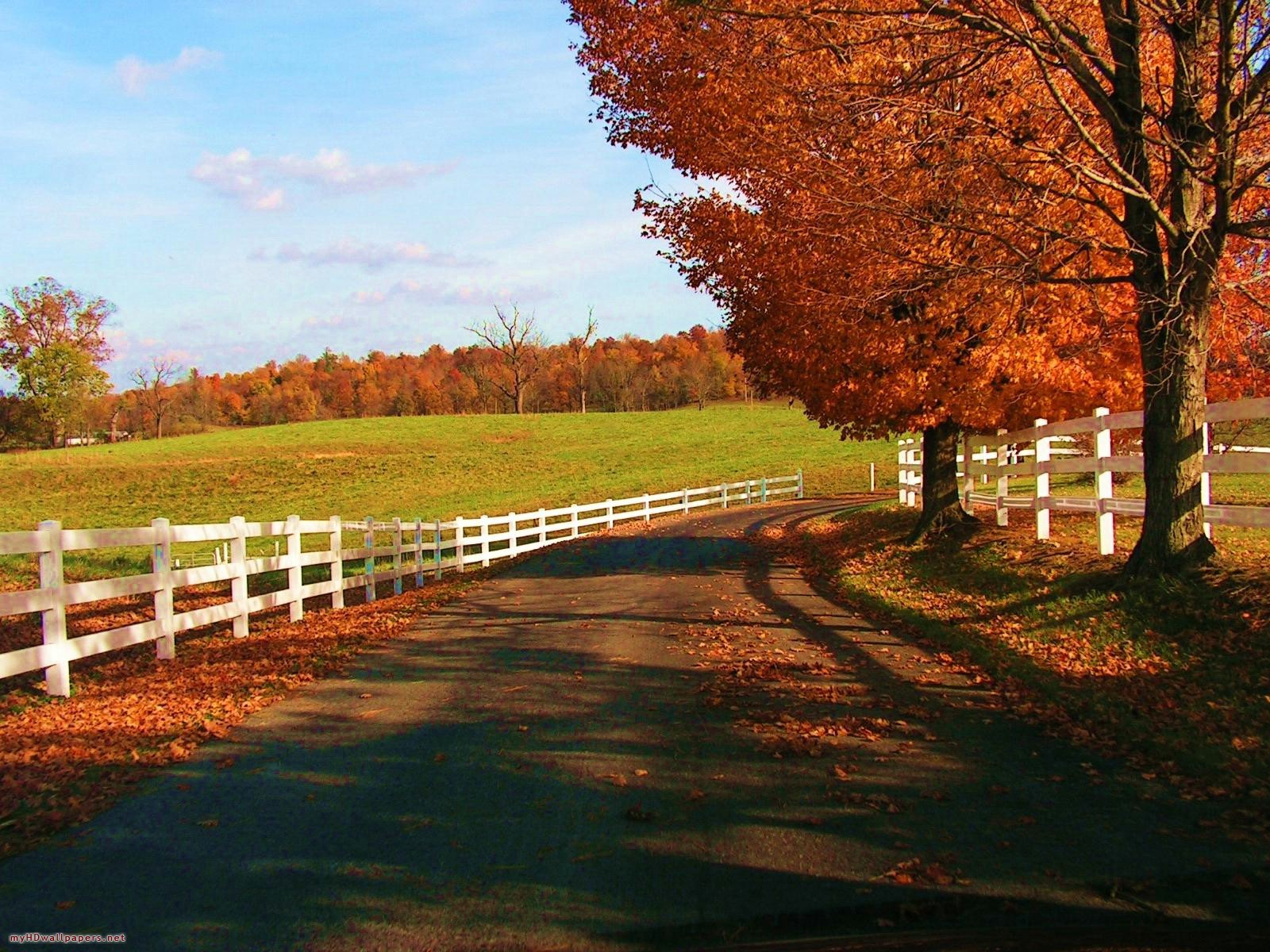 Autumn waved a magic brush! - Autumn, The photo, Nature, Longpost