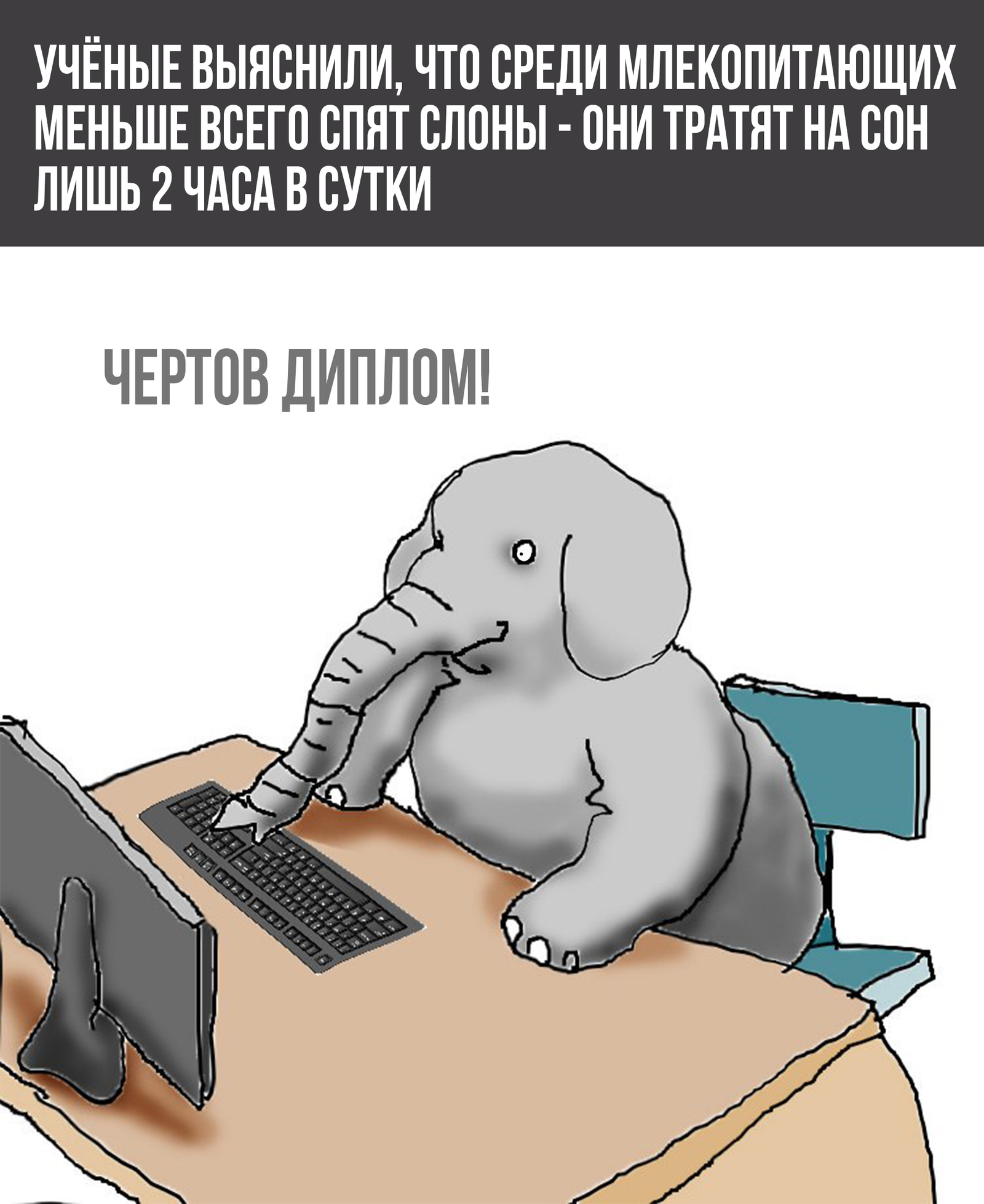 Student - Students, news, Elephants, Dream, Facts