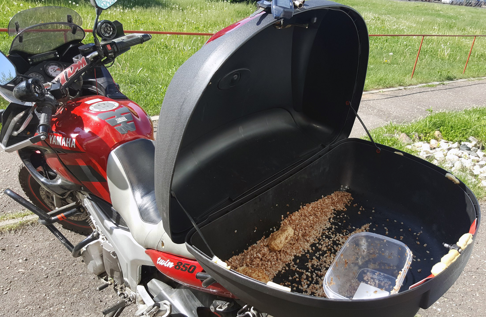 Bring lunch to work. mission complete - My, Motorcycles, Dinner, Spring, Food, Trouble, Moto