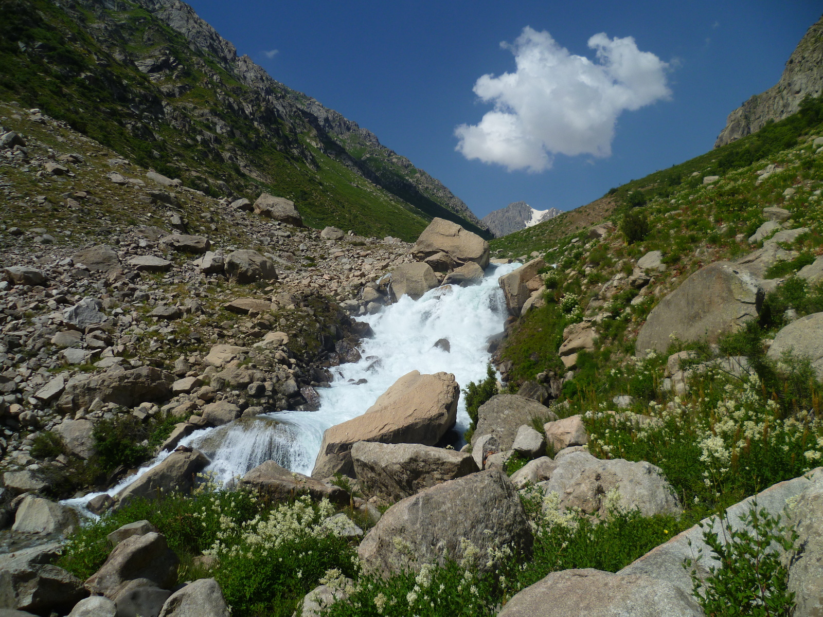 Walk along the Siam River. - My, River, Nature, Flowers, Tajikistan, , Longpost