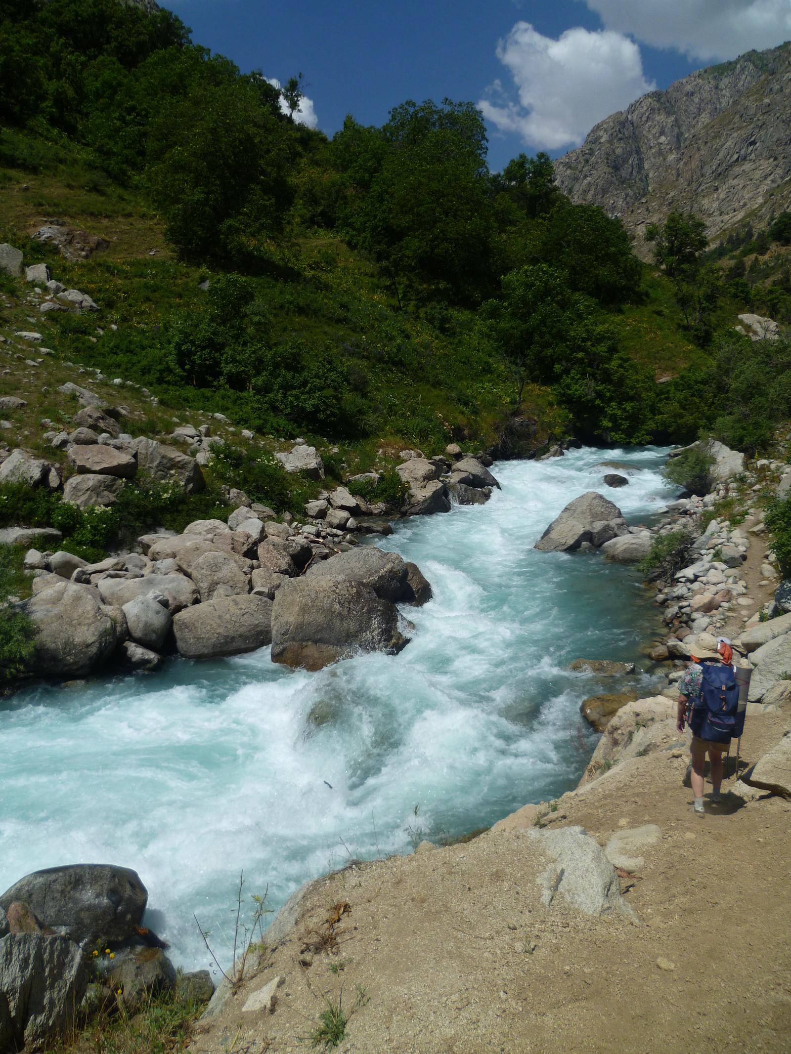 Walk along the Siam River. - My, River, Nature, Flowers, Tajikistan, , Longpost