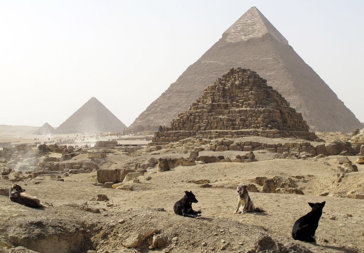 Formerly one of the greatest civilizations - Egypt, Pyramid, Dog