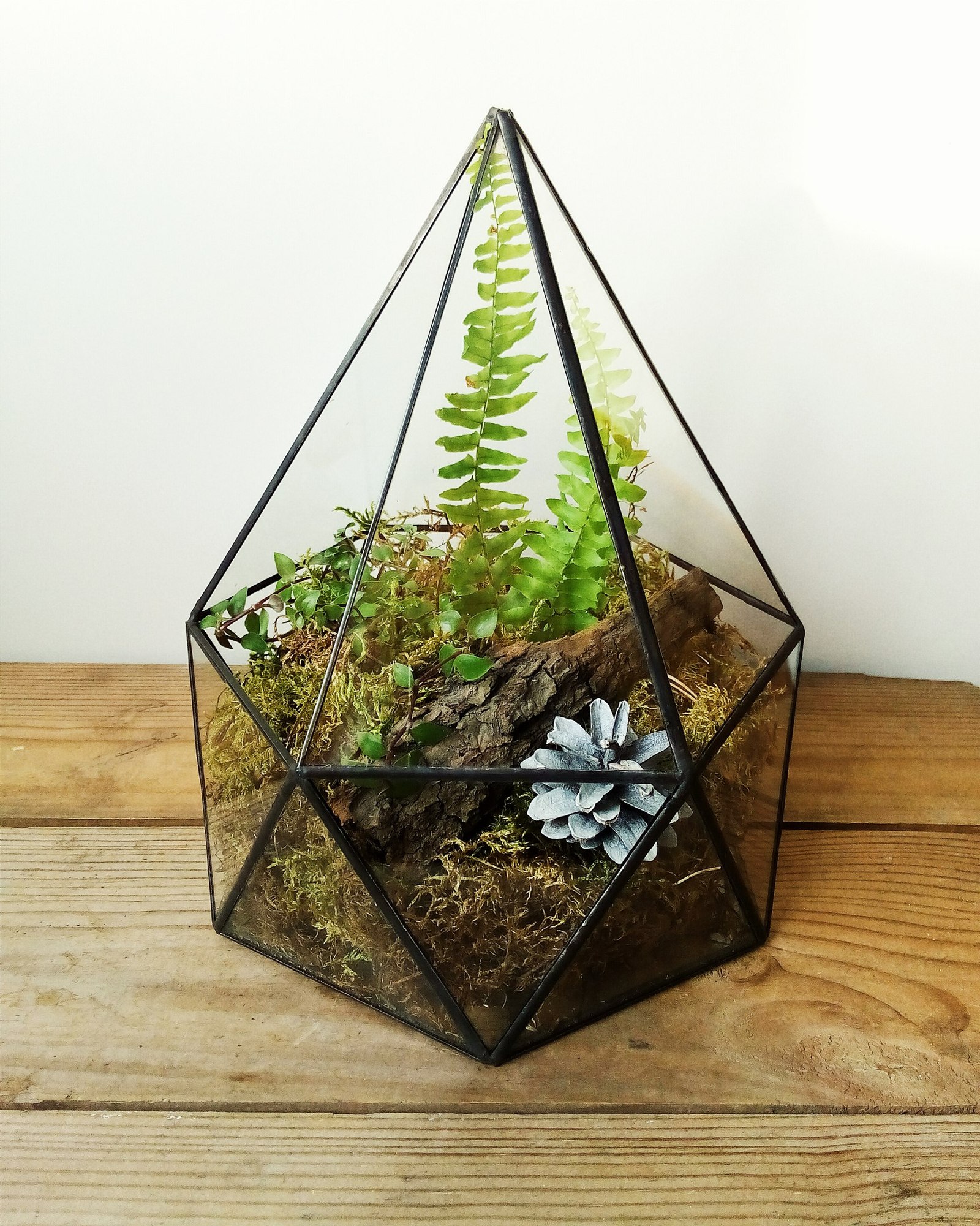 florarium - My, Creation, With your own hands, My, Rukozhop, Soldering, Florarium, Handmade, Handmade