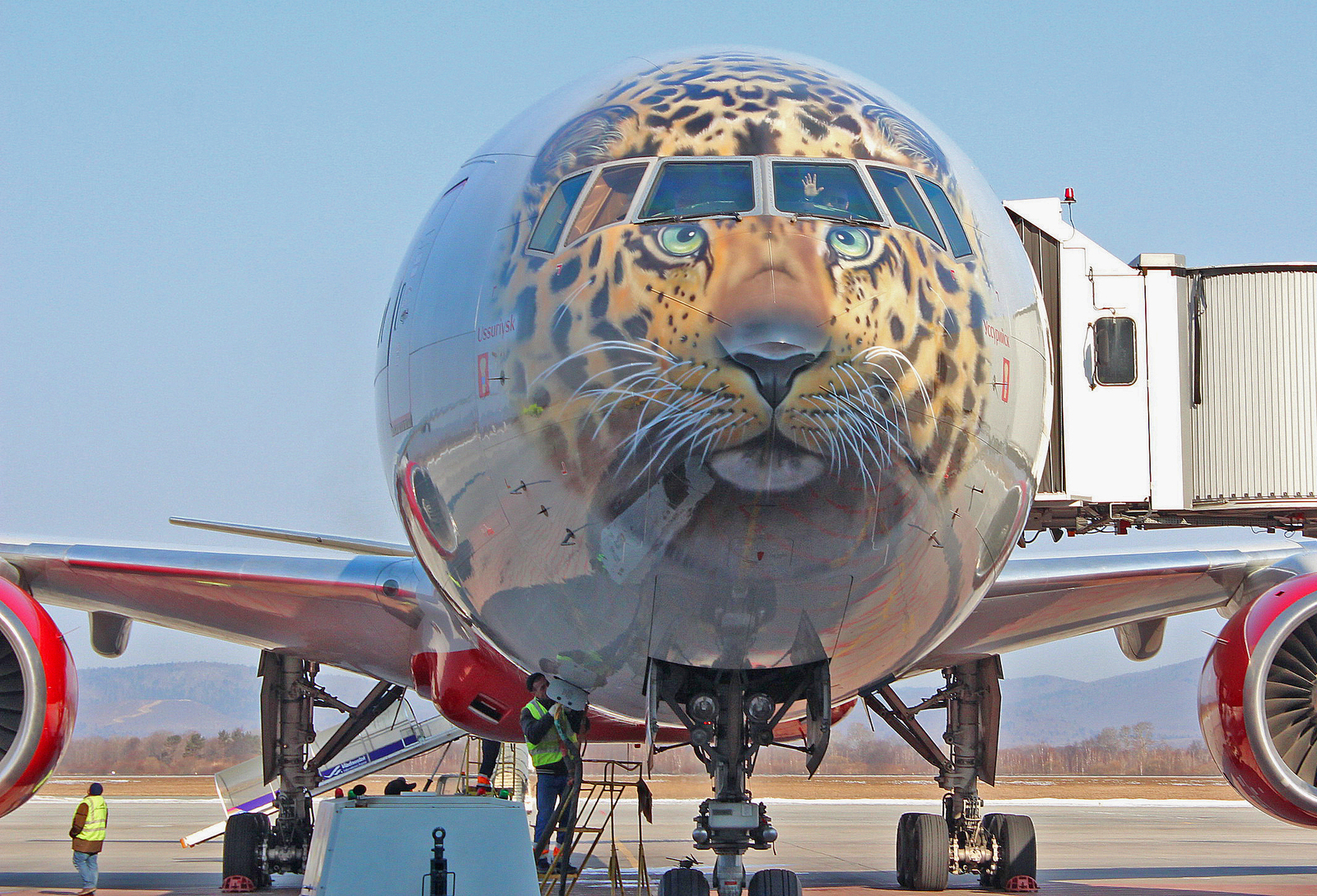 Meeting Leolet at Vladivostok airport - My, Vladivostok, Spotting, Leopard, Airplane, Aviation, The photo, Longpost