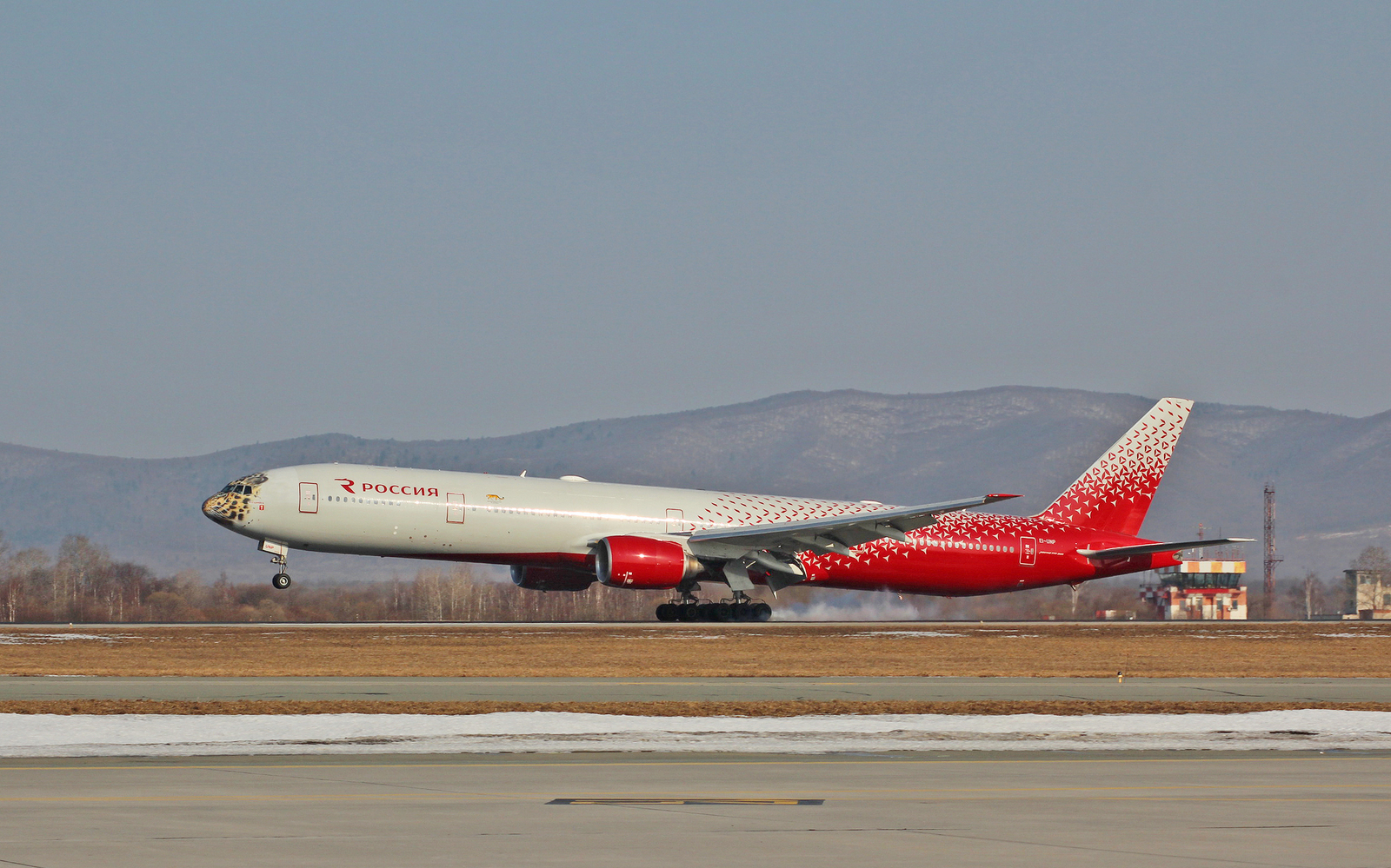 Meeting Leolet at Vladivostok airport - My, Vladivostok, Spotting, Leopard, Airplane, Aviation, The photo, Longpost