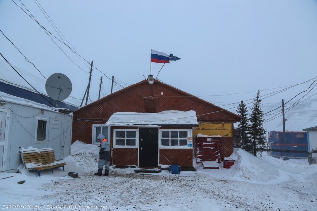 How shift workers live in Yakutia - Yakutia, Peace, Gas, Diamond, Everyday life, Longpost, Dog