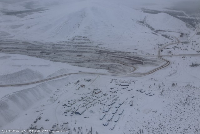 How shift workers live in Yakutia - Yakutia, Peace, Gas, Diamond, Everyday life, Longpost, Dog