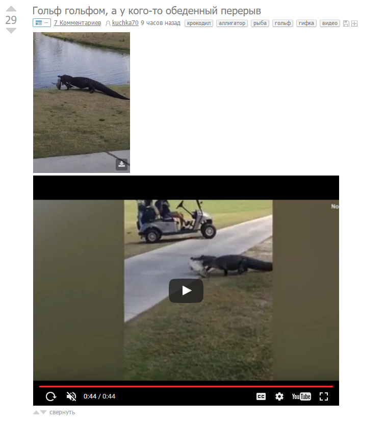 There is no post frame if the post contains only a GIF (.webm) and a YouTube video. - Peekaboo, Bug, Error