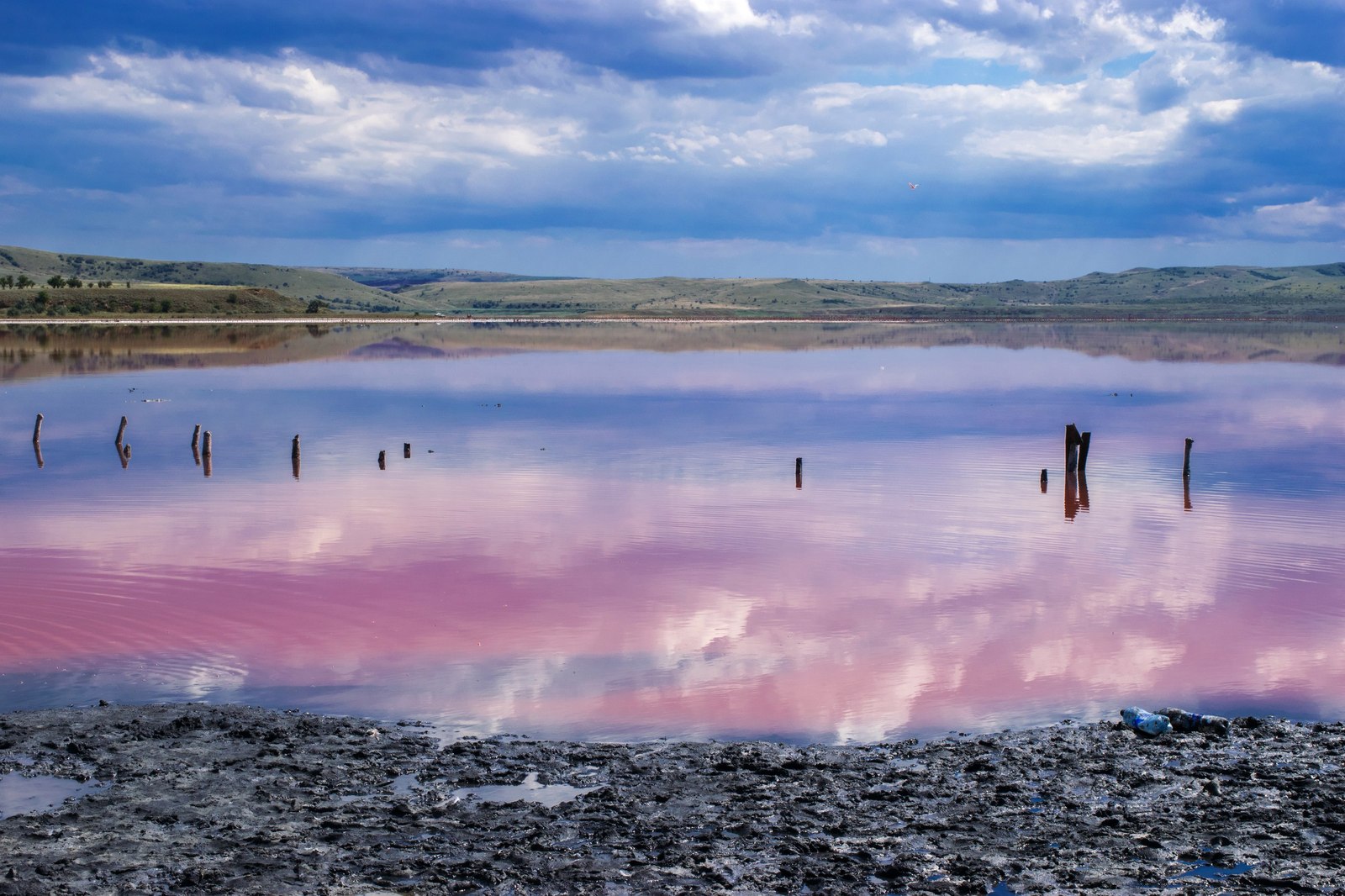 Views of Lake Chokrak - My, Kerch, Kurortnoye, , Lake, Crimea