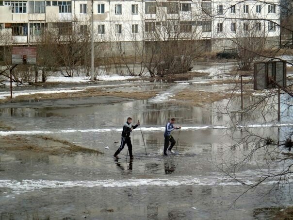 Посмотри, как прекрасен окружающий мир - Наблюдение, Фотография, Жизнь, Прекрасное, Весна, Длиннопост