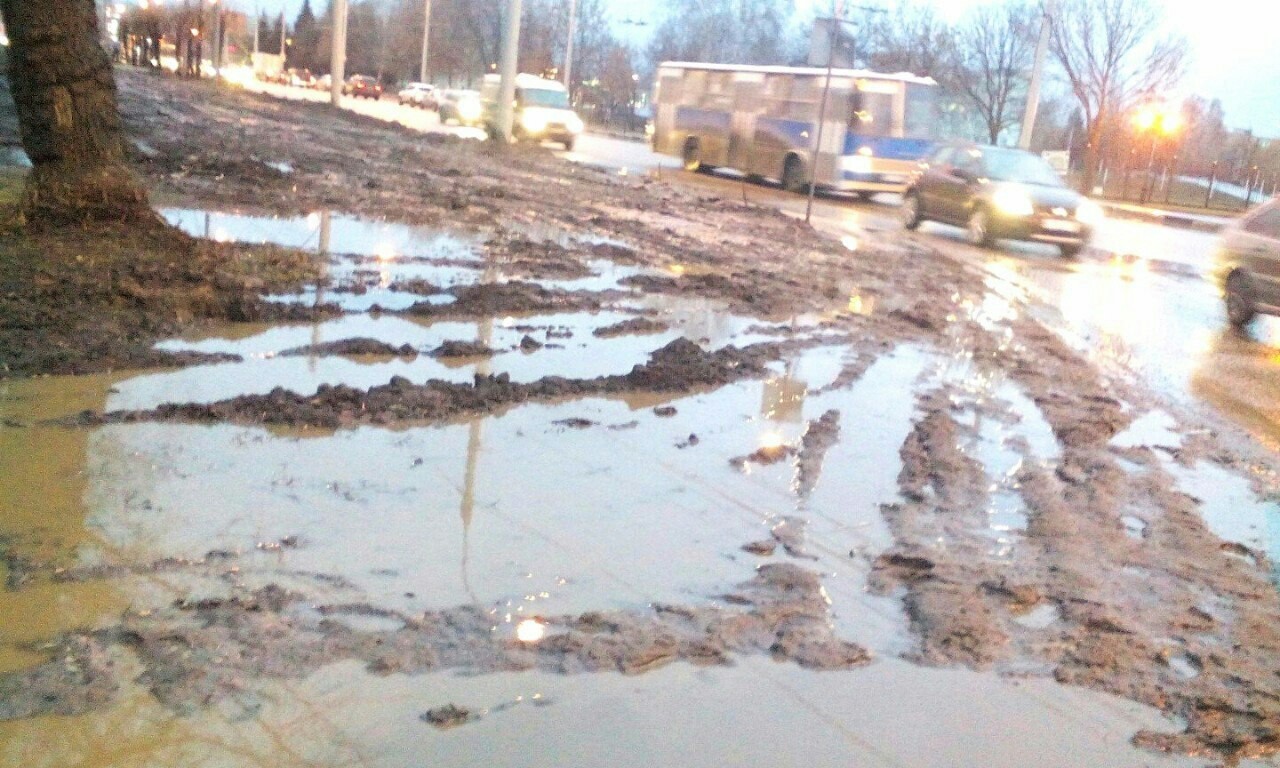 Посмотри, как прекрасен окружающий мир - Наблюдение, Фотография, Жизнь, Прекрасное, Весна, Длиннопост