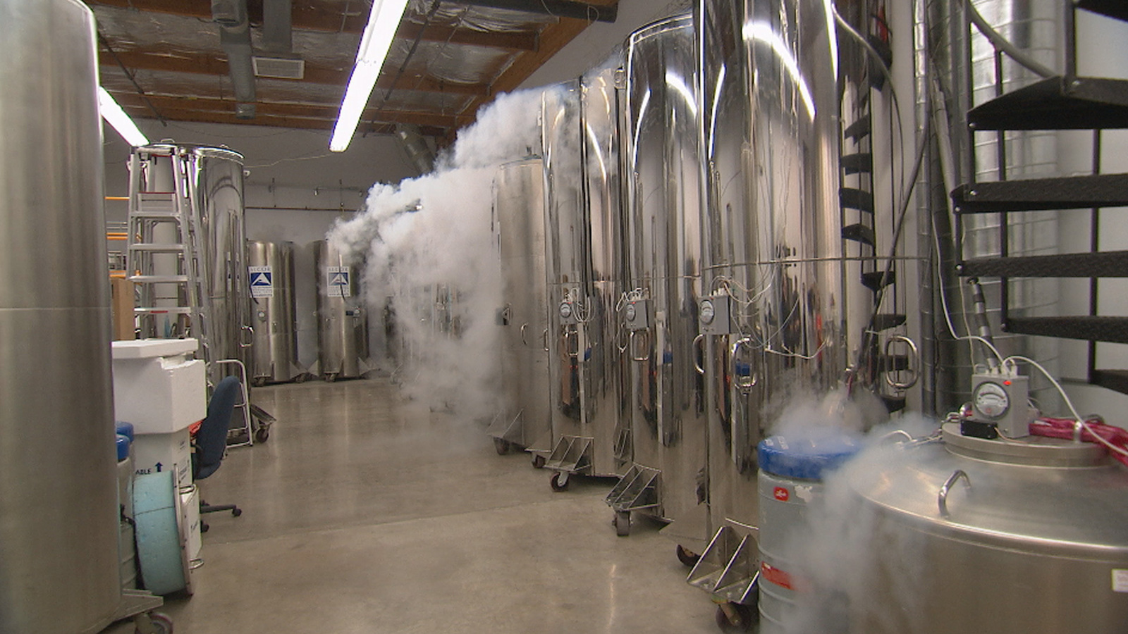 Ticket to eternity. - Cryonics, Freezing, Cryogenic freezing, , Longpost