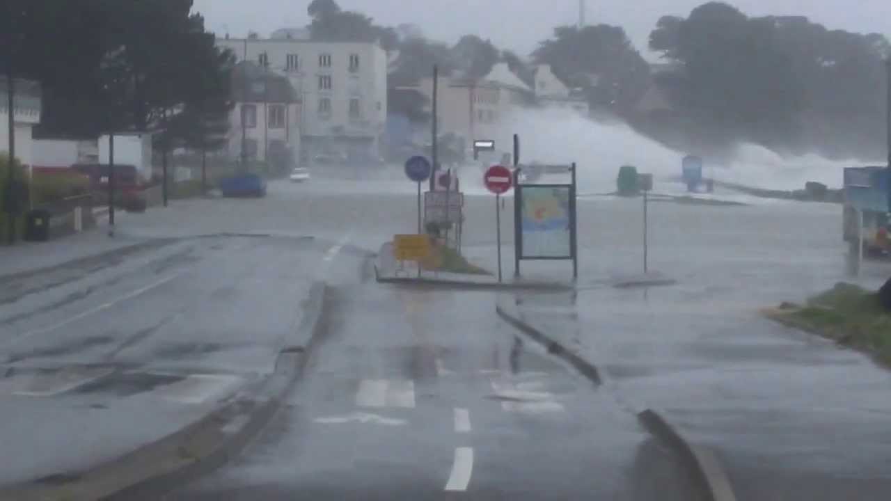 I didn't go to work today! - My, France, Brittany, Storm, Tree, Absenteeism