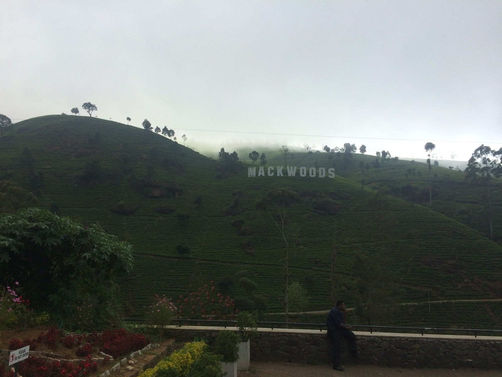 Sri Lanka, tea plantation. - My, Sri Lanka, Tea, Plantation, , Ceylon, Longpost