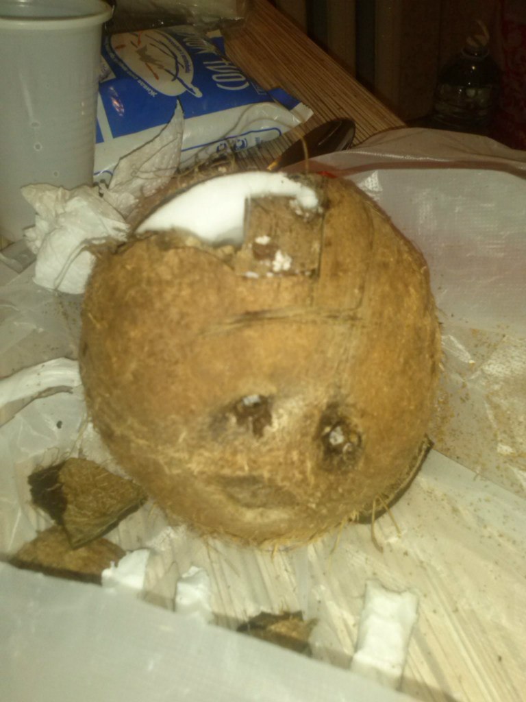 Coconut, who neglected safety precautions - My, Coconut, Tag, Helmet