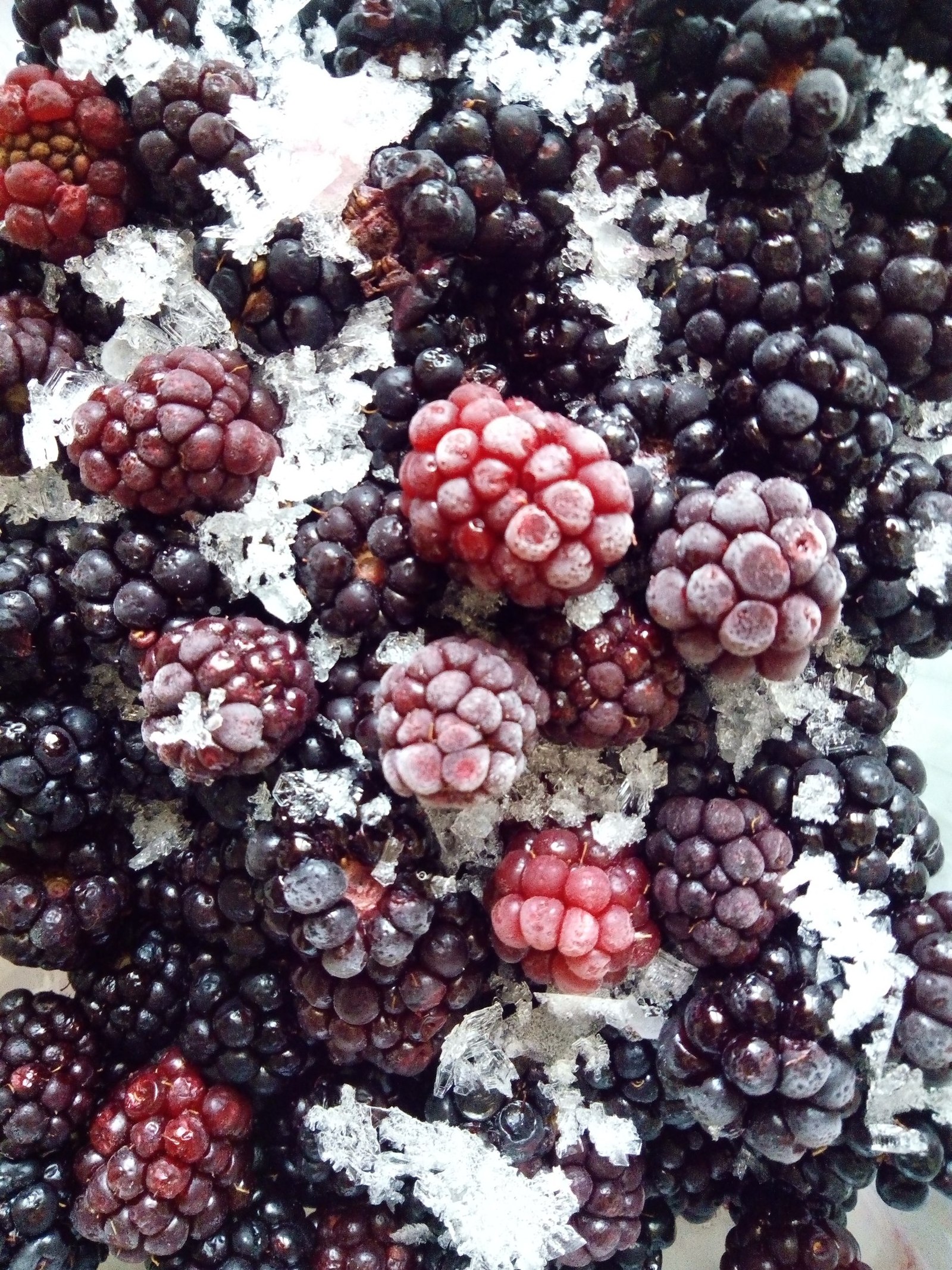 The beauty of unboiled compote - My, The photo, Berries, Freezing