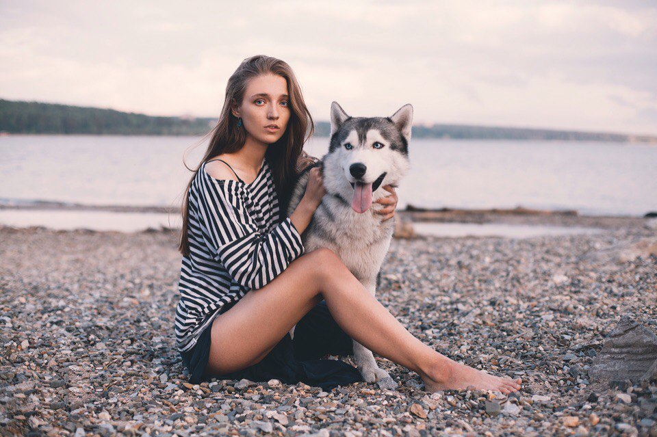 Blue eyes - My, Beautiful girl, Husky, The photo, Longpost