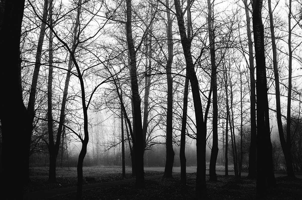 Mist. - My, Fog, The photo, Nikon, Nikon d90, Black and white photo, Longpost