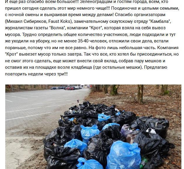 Zelenograd residents have again cleared the beach of debris. - Sea, , Kaliningrad region, Purity, Volunteers, Order, Baltic Sea, Volunteering, Longpost