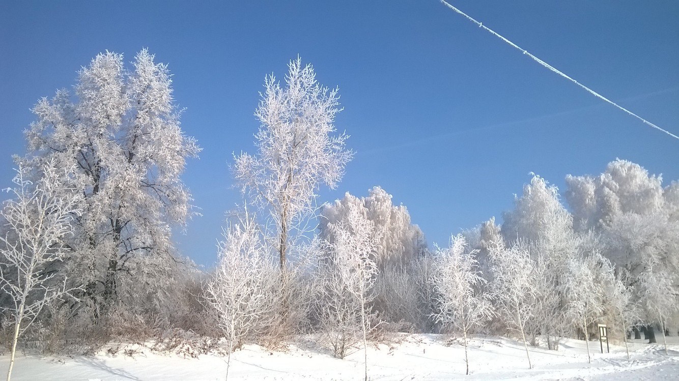 Trees in the morning at the Ob HPP - My, Obges, March, Spring, Frost, Novosibirsk, Russia, Nature, beauty, Longpost