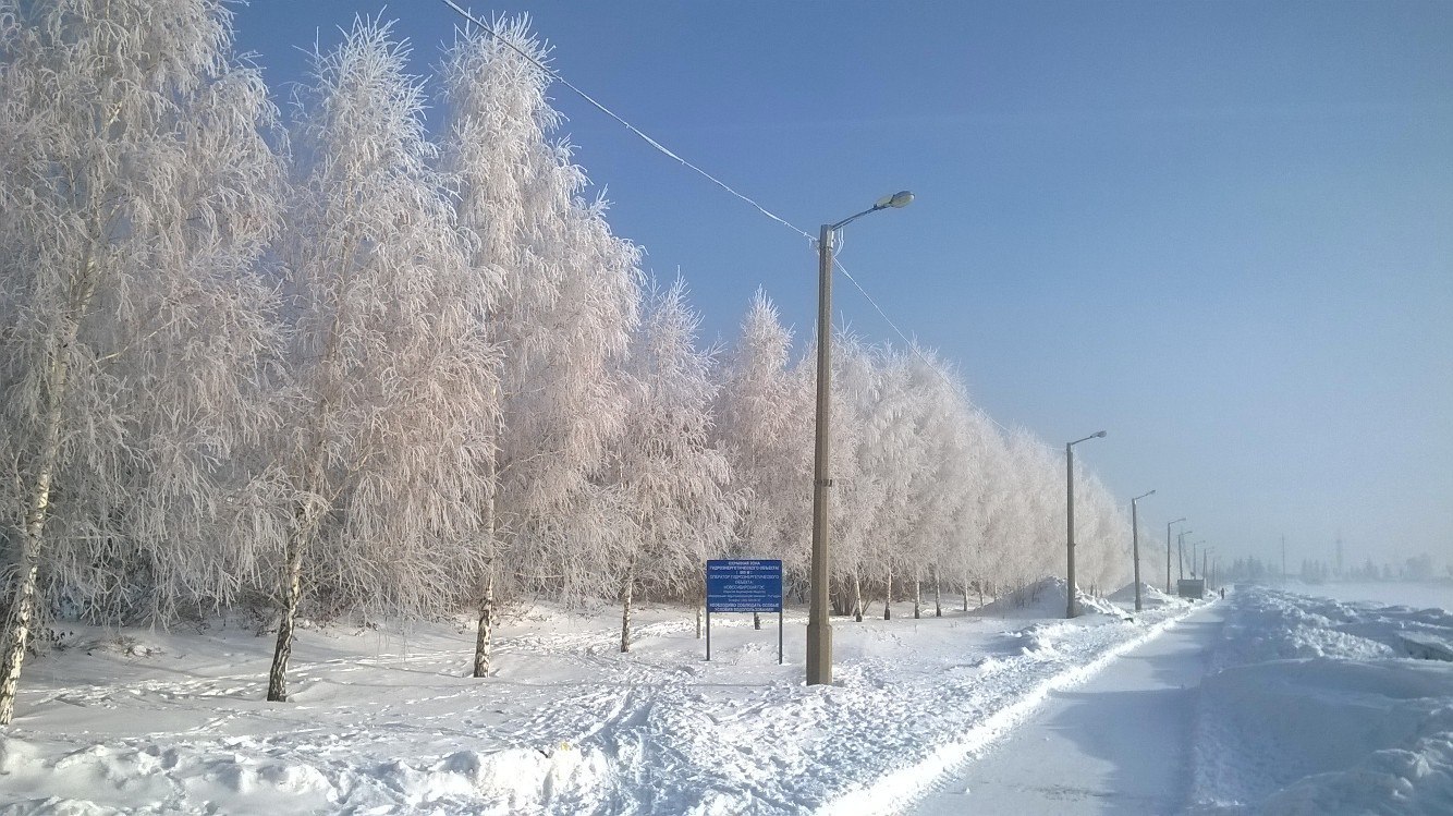 Trees in the morning at the Ob HPP - My, Obges, March, Spring, Frost, Novosibirsk, Russia, Nature, beauty, Longpost