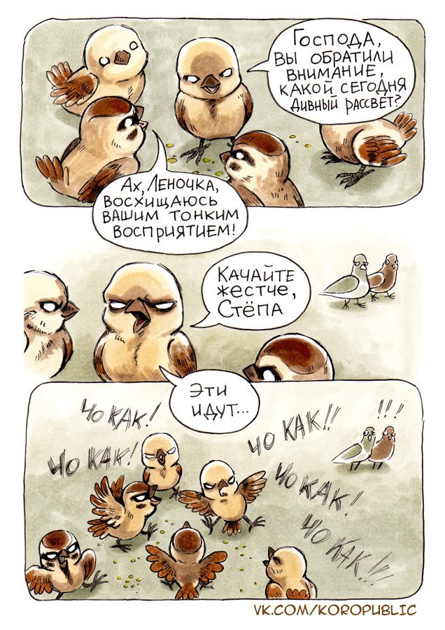 Interspecies struggle - Pigeon Gennady, Koropublic, Comics