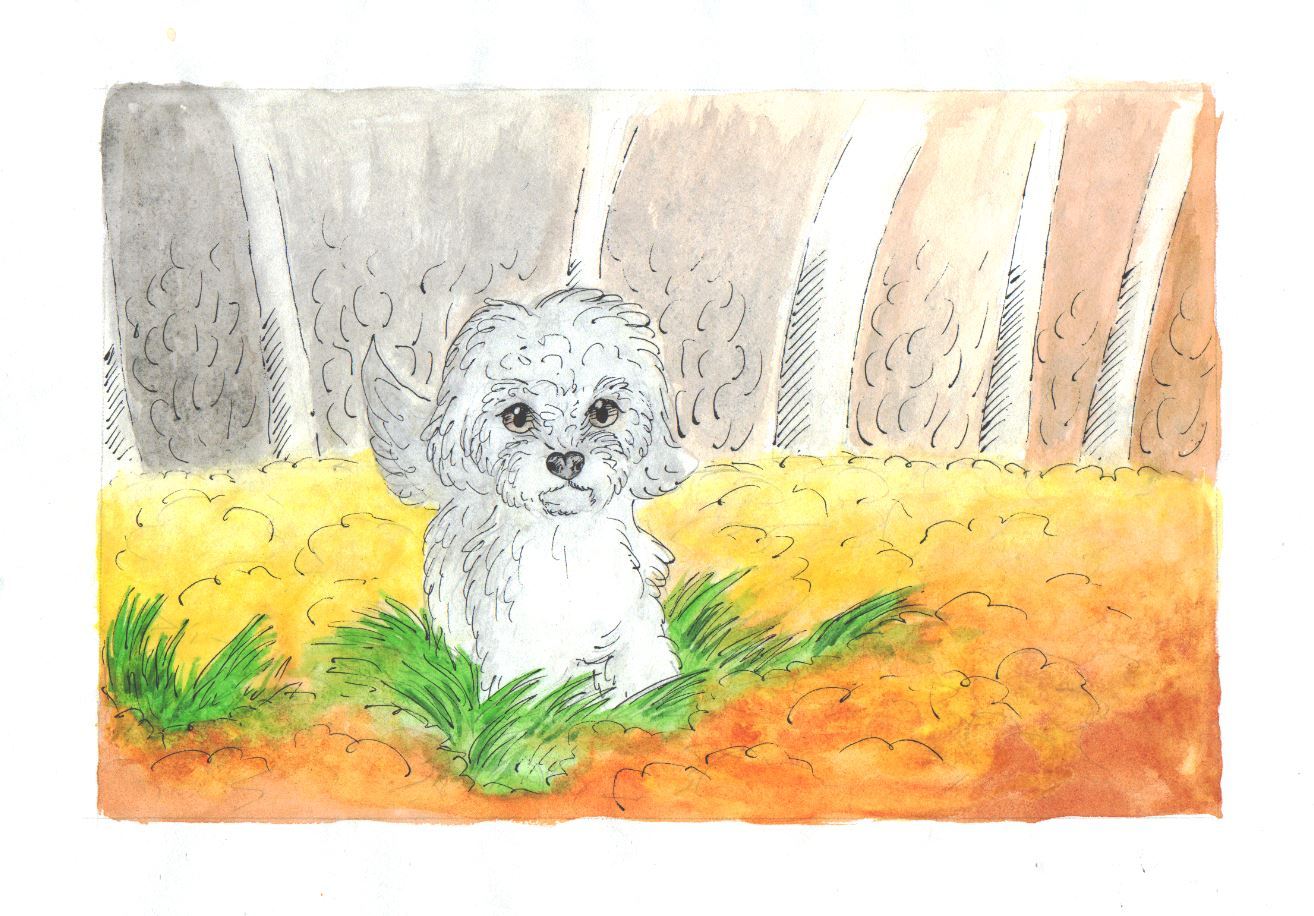 Dog Style - My, Dog, Watercolor, Drawing, Longpost